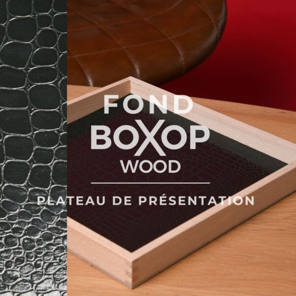 fond-croco-vert-presentation-lunette