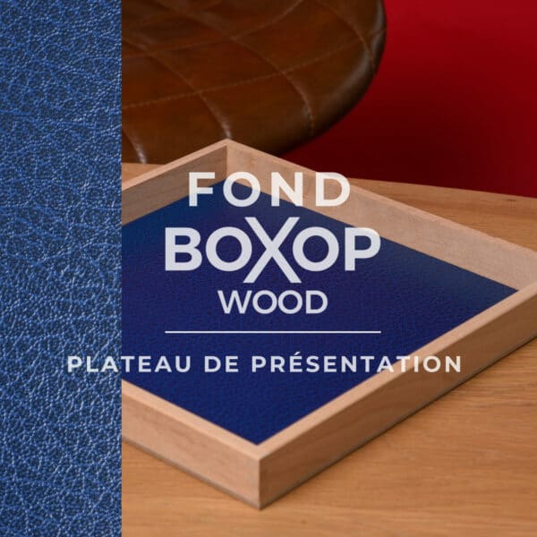 fond-bleu-presentation-lunette